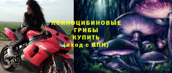 твердый Няндома